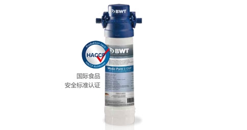 BWT Woda-Pure s超能系列抖阴视频污视频器