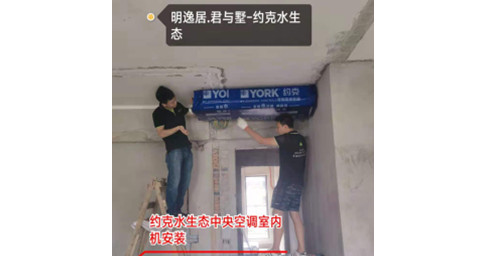 约克抖阴污免费视频两联供